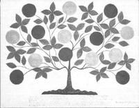 SA0725 - Photo of "Tree of Life" drawn and painted by Hannah Cohoon. Identified on the back.